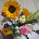 아인플로라 이미지