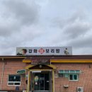 강화섬보리밥 이미지