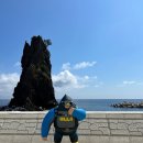 이스트독도 이미지
