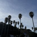 애월숲에101 이미지