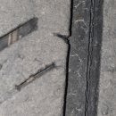 금호카센터 이미지