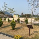 진원초등학교 | 장성카페 스테이196 광주근교카페로 인정!