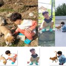 아크릴 포토 굿즈 제작 &lt;두린&gt; 냉장고 현관문 사진 자석 마그넷