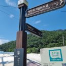 계정보건진료소 Daum카페