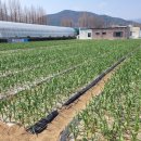 남해군농업기술센터 이미지