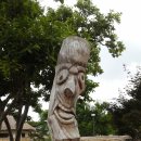 순천만 여행 이미지