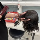 헤어미용기능사 자격증 이미지