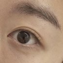 싱싱동물약국 | 대연동속눈썹 속눈썹펌 잘하는 곳 그리밍뷰티