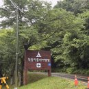 제이자동차정비하우스 | [ 전북 남원] 지리산 덕동 야영장 | 특화 야영장 하우스