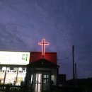 힐스템건강 이미지