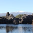 더베이리조트 이미지