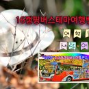 7월1~2일(1박2일) 신안1004섬 증도섬 이미지