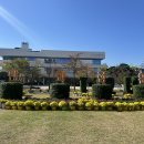 복룡동 시민문화공원 이미지