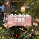 경주 오베르 식물원에 온듯한 충효동 경주예쁜카페
