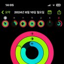 베러데이 핏 이미지