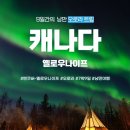 해뜸여행사