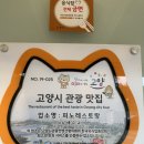 미롱이의 미각일지#12-데이트 명당 찾았다! 일산 애니골 이탈리안 레스토랑 ‘피노’후기