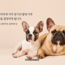 안양유지사료 이미지