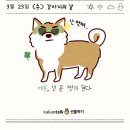 D-19 이미지