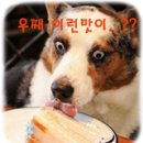 북촌삼대갈비 이미지