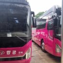 경일항공여행사 이미지