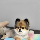 따숩개하우스 이미지