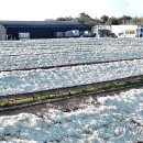 박지호농장 이미지