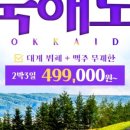 (주)라벤더투어