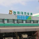 ㈜농협대전유통 이미지