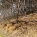 용태양광발전소 이미지