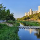 불광천6 이미지