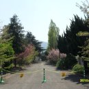 연지동-1 이미지