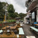 파라솔장어 | 시흥 물왕저수지 애견동반 장어맛집 '장어의품격'