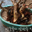 방죽골농장 네이버블로그
