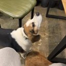 홍인펜션 이미지