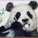 상상미술교습소 | 자유로운 상상과 표현의 즐거움, 과천창의미술 아트아즈미술교습소 과천별양점