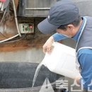 지앤비바이오