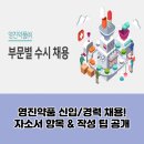 (주)비전약품 | 영진약품 신입/경력 채용! 자소서 항목 &amp; 작성 팁 공개 (2025)