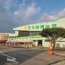 일산플라워화분마트 이미지