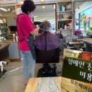 신아미용실 Daum카페