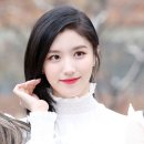 시연