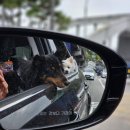 관문체육공원 배구/족구장 이미지