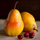 수채화 입문 이미지