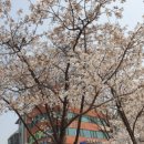 성내5교 이미지