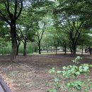 금호강변(롯데앞) 이미지