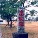 성산읍-1 이미지