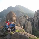 그루터기 이미지