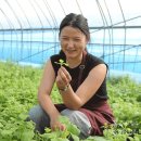 논밭상점 이미지