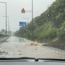 코스트코 민어매운탕 추천 후기 (부제 : 세일할 땐 더 추천)