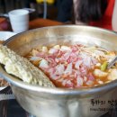 오돈 이미지